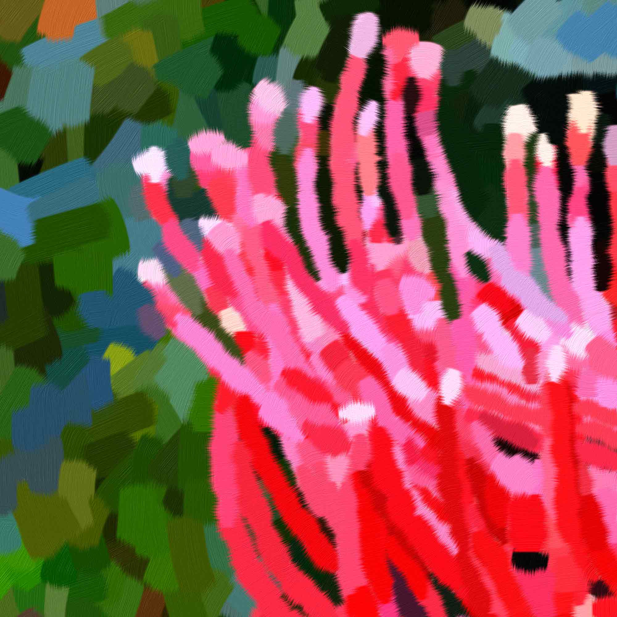 Close Up Tree Waratah Framed Wall Art Print Tree Waratah Framed Wall Art Print